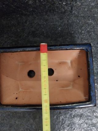 Vaso Bonsai blu scuro - Ceramica con sottovaso.  