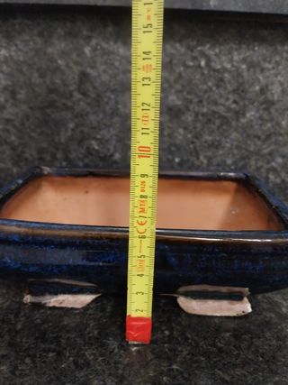 Vaso Bonsai blu scuro - Ceramica con sottovaso.  
