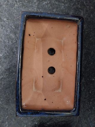 Vaso Bonsai blu scuro - Ceramica con sottovaso.  
