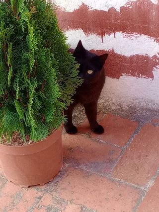 Clases particulares artes marciales y autodefensa