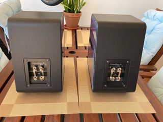 Sonus faber Chameleon B Altavoces