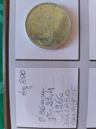 Dollaro canadese 1966 - Canoa