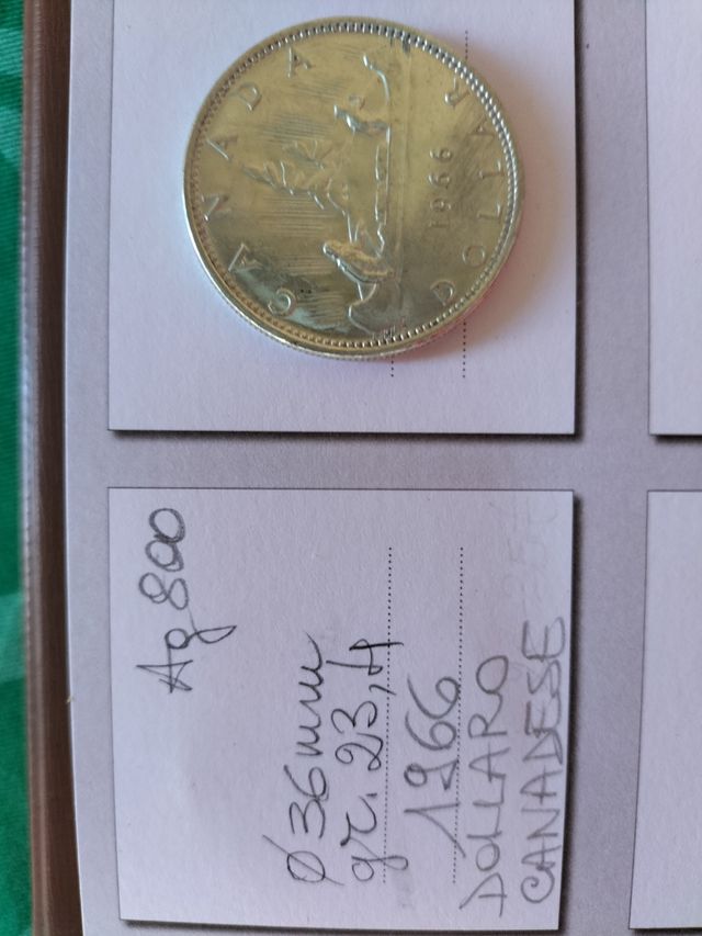 Dollaro canadese 1966 - Canoa