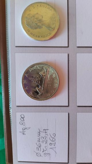 Dollaro canadese 1966 - Canoa