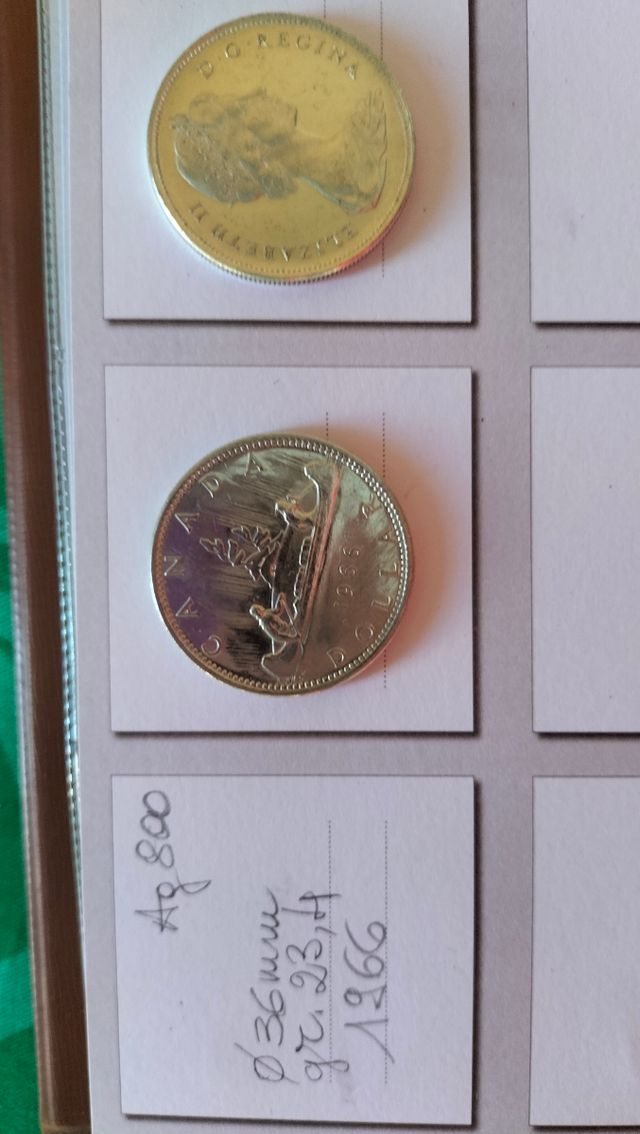 Dollaro canadese 1966 - Canoa