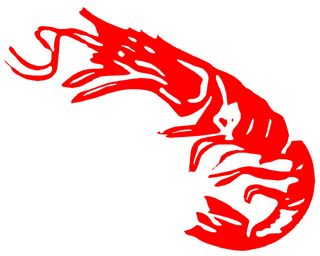 Personal Pescadería Sala de Elaboracion