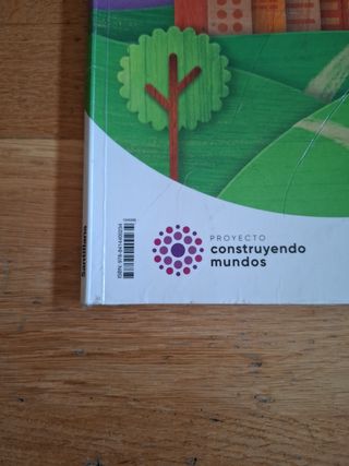 CIENCIAS SOCIALES CAST-LEON 3 PRIMARIA CONSTRUY...