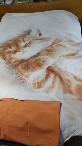 Fundas nórdicas gato 90cm