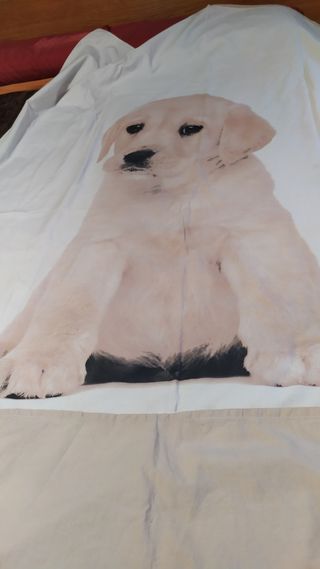 Fundas nórdicas gato 90cm