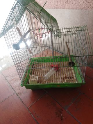 Jaula pajaros grande verde