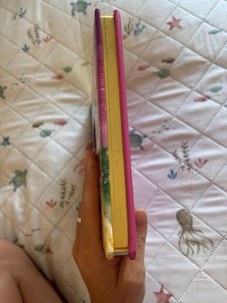 CUENTOS DE PRINCESAS SHADOWBOX BB