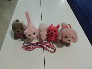 5 Peluches Perros Gatos de los puestos de la playa