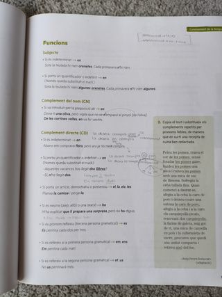 Puntal 4. Llengua catalana i Literatura 4 ESO