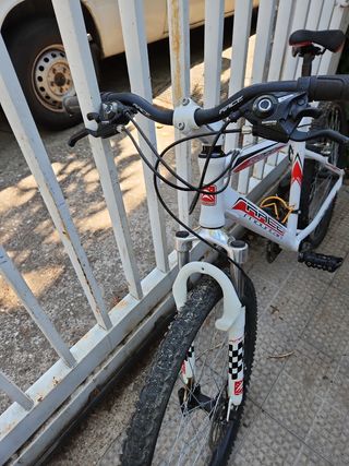 Bicicleta RACE Mountain