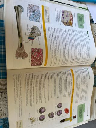 Biología Y Geología: