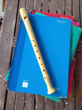 Material escolar (flauta+cuadernos)