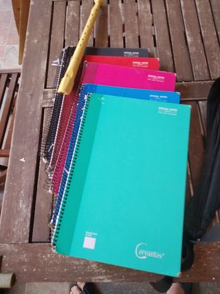 Material escolar (flauta+cuadernos)