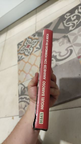 Amanecer Con Hormigas en la Boca