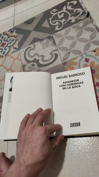 Amanecer Con Hormigas en la Boca