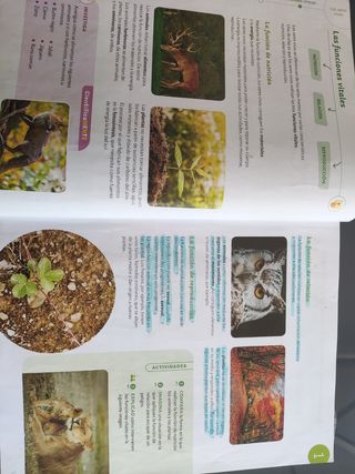 CIENCIAS DE LA NATURALEZA MADRID 5 PRIMARIA CON...