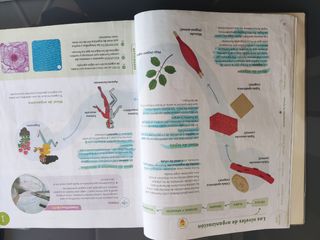 CIENCIAS DE LA NATURALEZA MADRID 5 PRIMARIA CON...