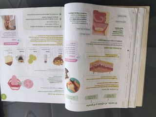 CIENCIAS DE LA NATURALEZA MADRID 5 PRIMARIA CON...
