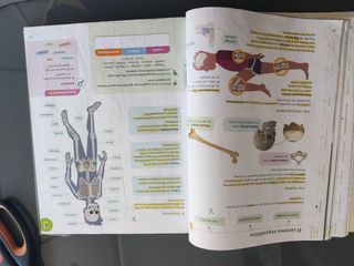 CIENCIAS DE LA NATURALEZA MADRID 5 PRIMARIA CON...