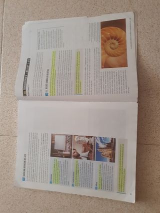 Proyecto: FanFest - Filosofía 1 Bachillerato