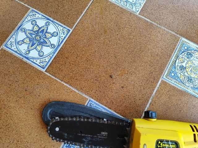 Motosierra Garland - Pértiga con manual y aceite 
