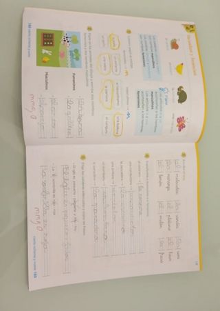 Lengua 1 Primaria 3 trimestres