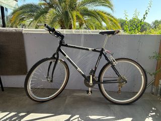 Bicicleta montaña clásica