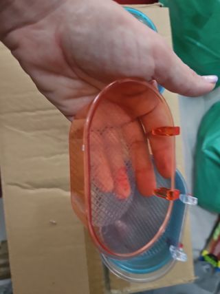 Bañeras para pájaros - Azul y Naranja