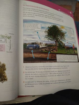 Ciencias de la Naturaleza 5.