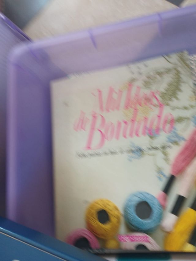 Libros Bordado: Mil Ideas & Punto Richelieu