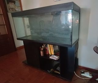 Acuario Eheim 250L - Negro