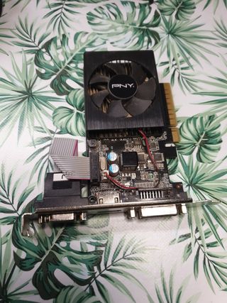Tarjeta gráfica PNY - GPU
