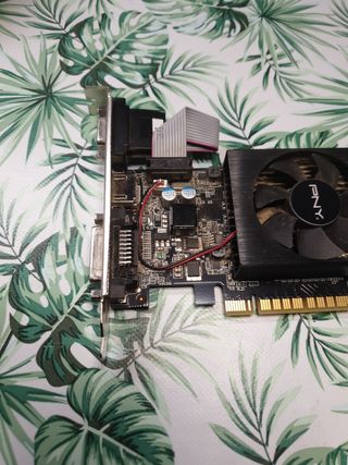 Tarjeta gráfica PNY - GPU