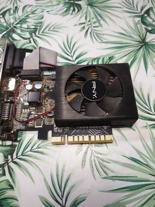 Tarjeta gráfica PNY - GPU