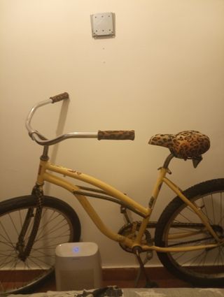 Bicicleta Cruiser