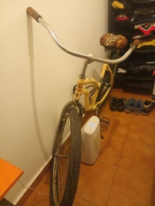 Bicicleta Cruiser