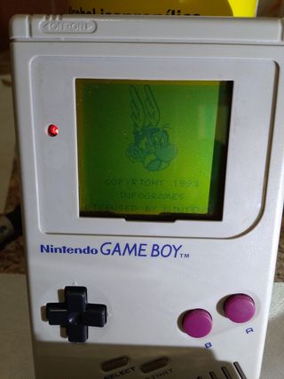 Asterix Game Boy: juego de acción y aventura