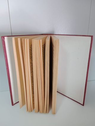 Libro - EL PADRINO (Mario Puzo)