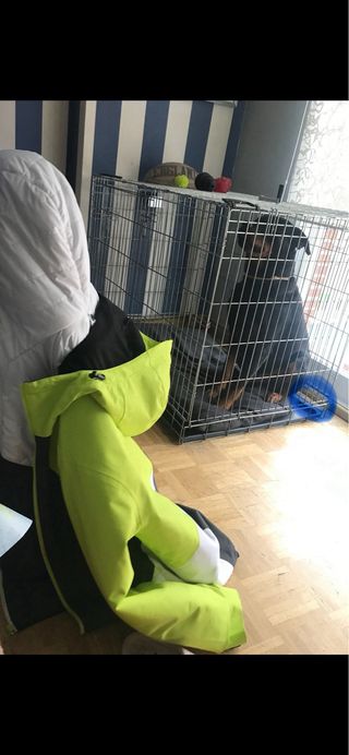 Jaula perro Savic metálica