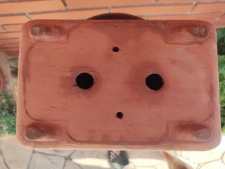 Maceta 27 cm bonsai Terracota rectangular..