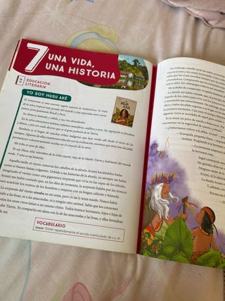Argumenta 5. Lengua castellana. Conocimientos