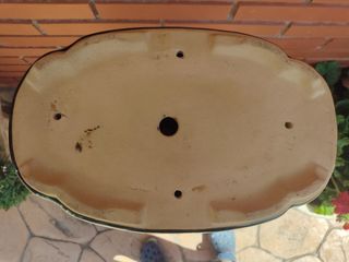 Maceta 31 cm bonsai cerámica verde - Loto.