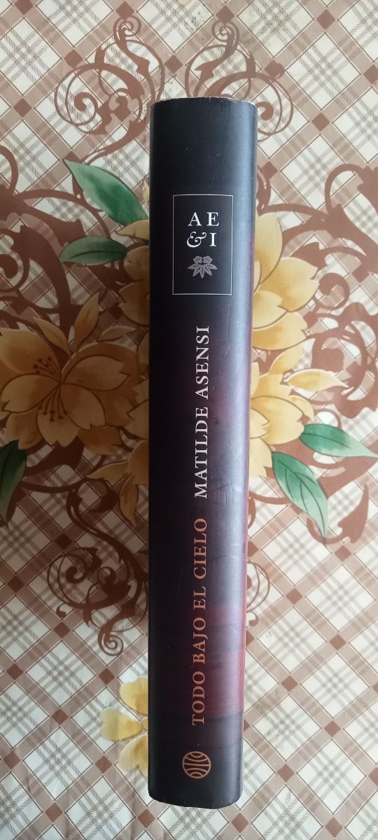 Todo bajo el cielo - Matilde Asensi 