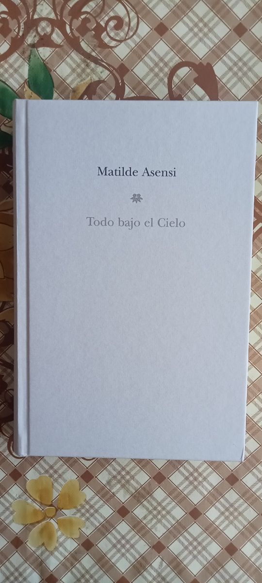 Todo bajo el cielo - Matilde Asensi 