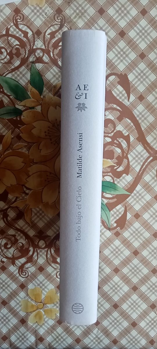 Todo bajo el cielo - Matilde Asensi 