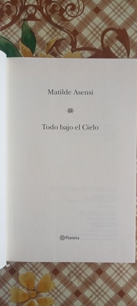 Todo bajo el cielo - Matilde Asensi 
